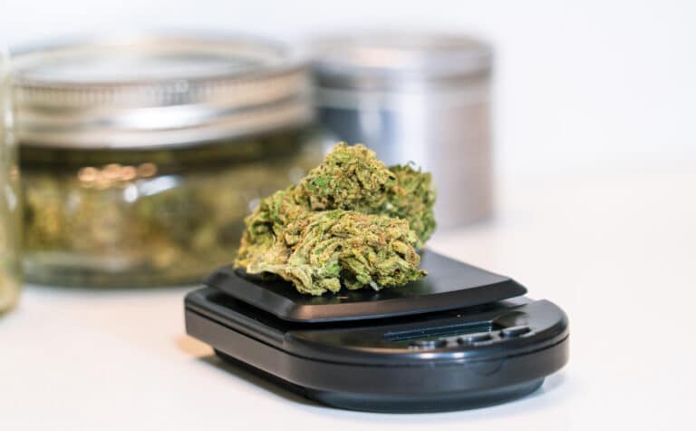 flower buds sitting on a digital sclae marijuana legalization THC Recreational and Medical
